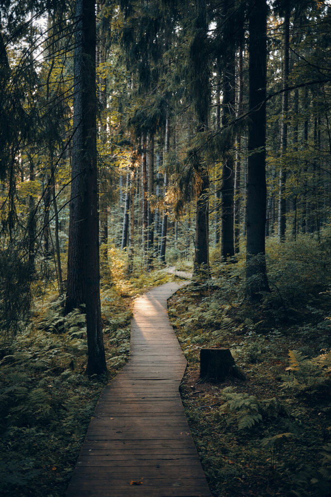 Walk In Path